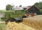 Claas Drescher 61